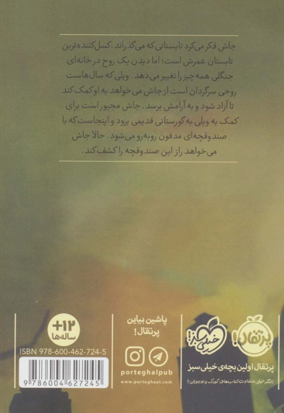 صندوقچه مدفون